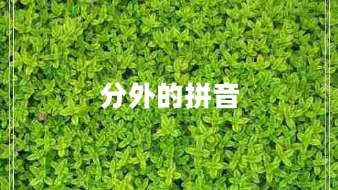 分外的拼音
