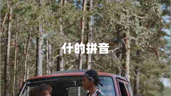 什的拼音 什的拼音