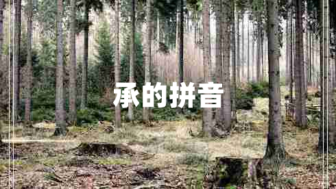 承的拼音 承的拼音