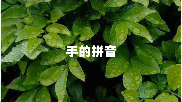 手的拼音 手的拼音