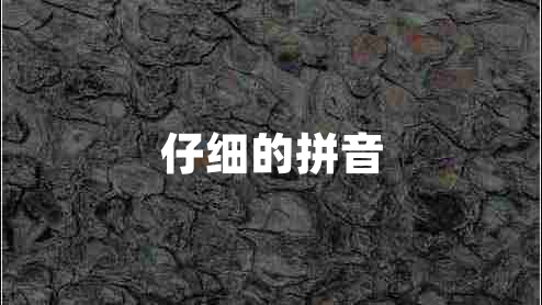 仔細(xì)的拼音