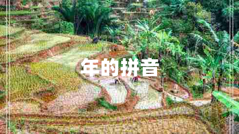 年的拼音 年的拼音