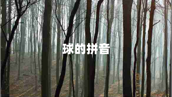 球的拼音 球的拼音