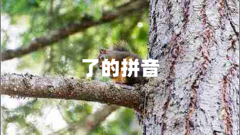 了的拼音 了的拼音