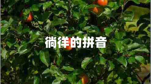 徜徉的拼音 徜徉的拼音