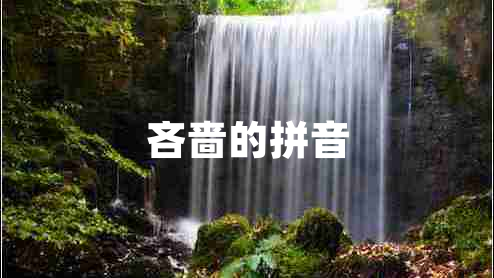 吝嗇的拼音 吝嗇的拼音