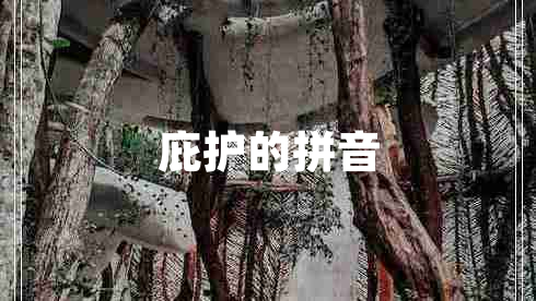 庇護(hù)的拼音