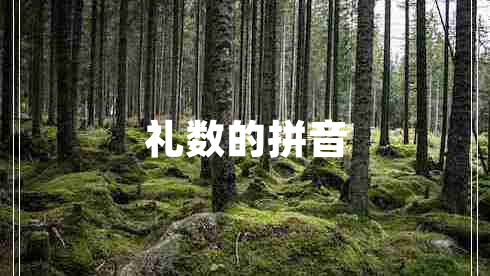 禮數(shù)的拼音