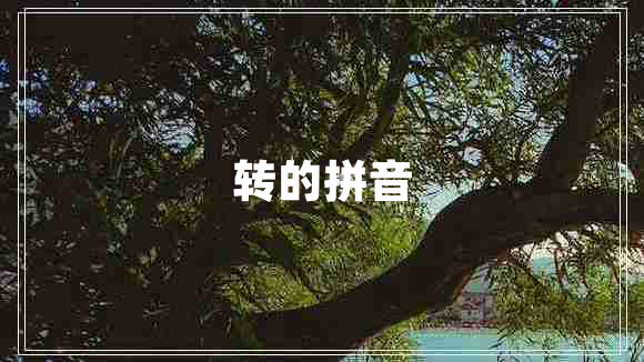 轉(zhuǎn)的拼音