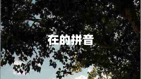 在的拼音 在的拼音