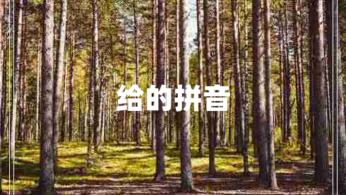 給的拼音 給的拼音