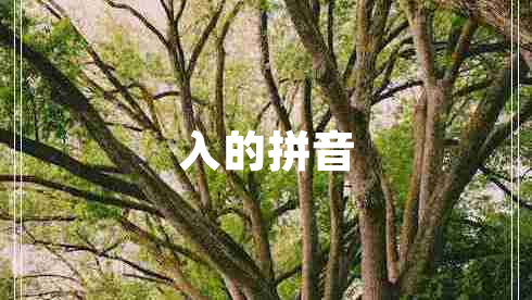 入的拼音