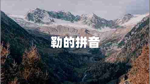 勒的拼音 勒的拼音