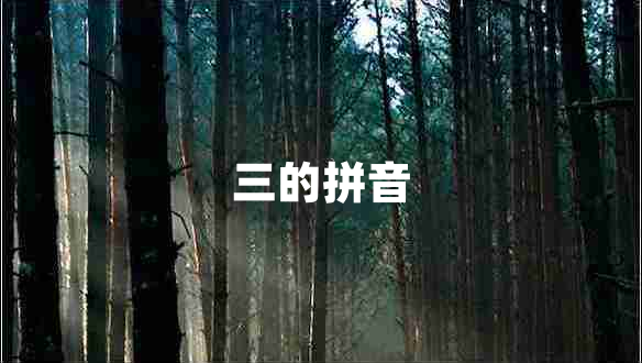 三的拼音