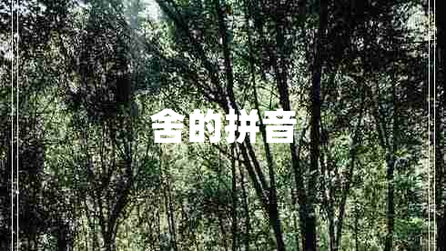 舍的拼音 舍的拼音