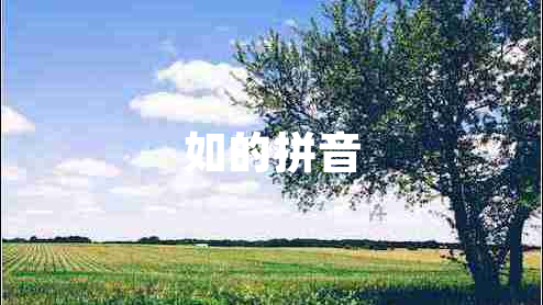 如的拼音 如的拼音