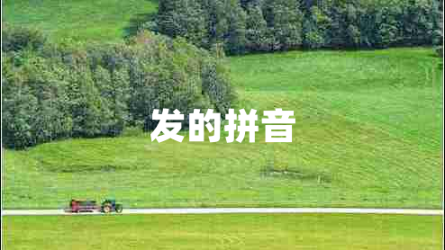 發(fā)的拼音 發(fā)的拼音
