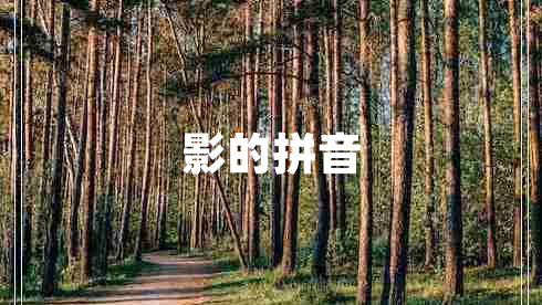 影的拼音 影的拼音