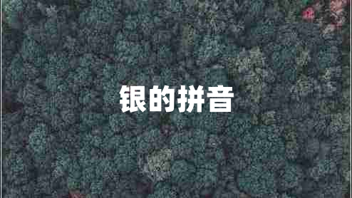 銀的拼音