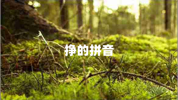 掙的拼音 掙的拼音