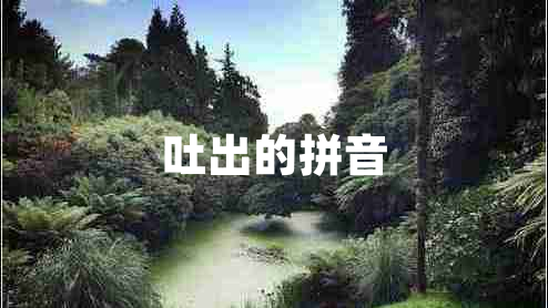 吐出的拼音 吐出的拼音