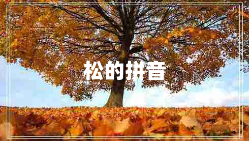 松的拼音