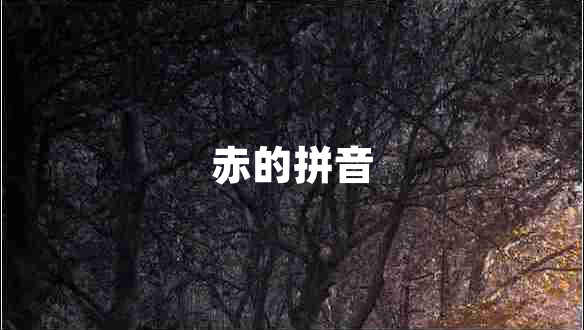 赤的拼音 赤的拼音