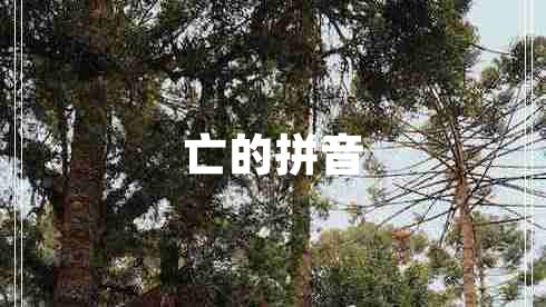 亡的拼音 亡的拼音