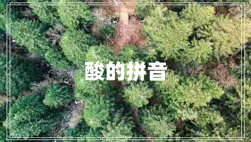 酸的拼音 酸的拼音