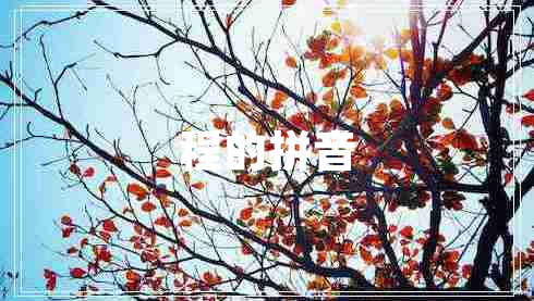 程的拼音 程的拼音