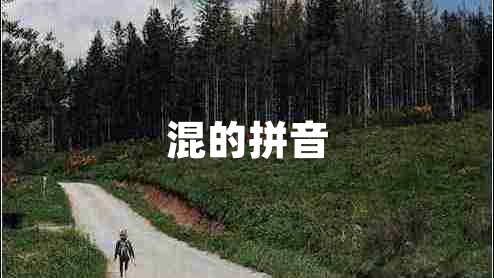 混的拼音 混的拼音