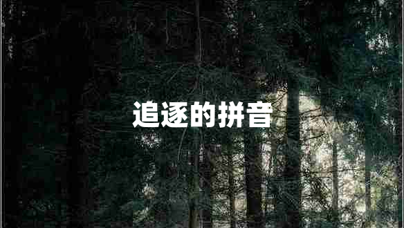 追逐的拼音 追逐的拼音