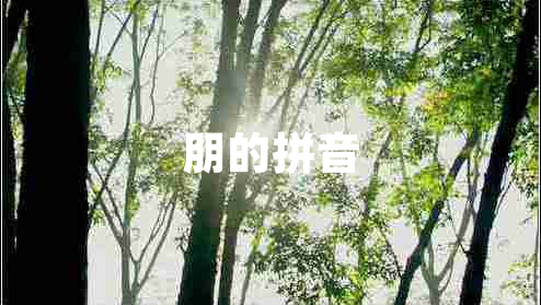 朋的拼音 朋的拼音