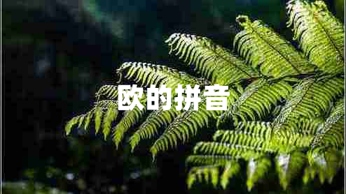 歐的拼音