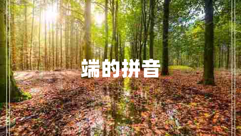 端的拼音 端的拼音