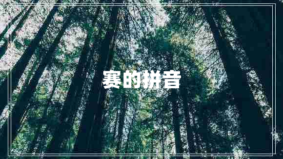 賽的拼音 賽的拼音