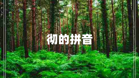 徹的拼音 徹的拼音