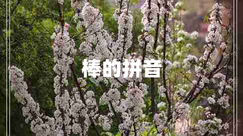 棒的拼音 棒的拼音