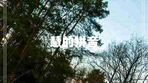 慧的拼音 慧的拼音