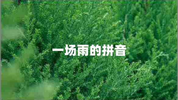 一場雨的拼音
