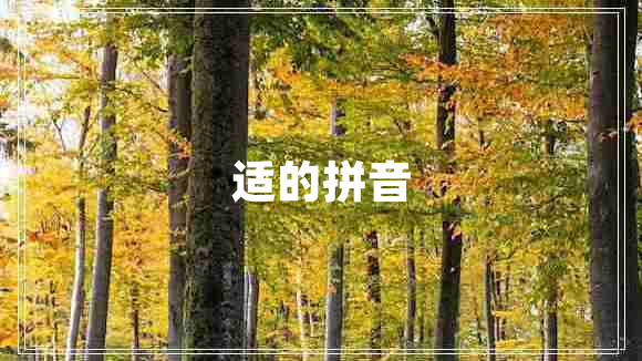 適的拼音 適的拼音