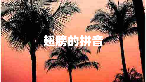 翅膀的拼音 翅膀的拼音