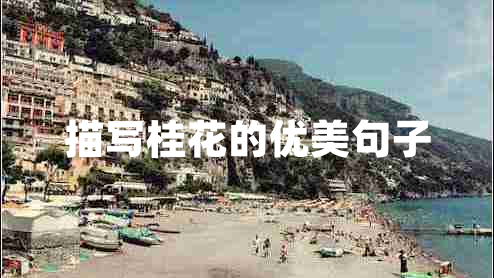 描寫(xiě)桂花的優(yōu)美句子 描寫(xiě)桂花的優(yōu)美句子