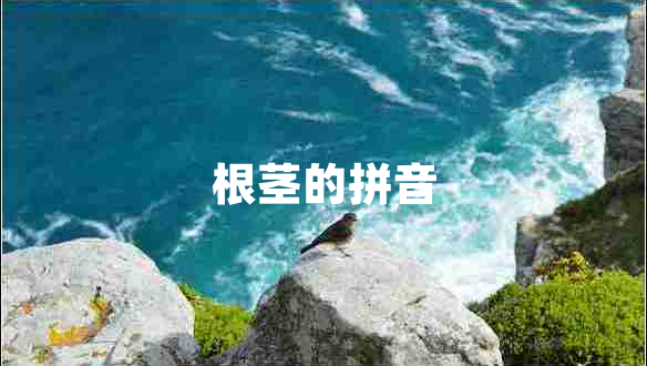 根莖的拼音 根莖的拼音