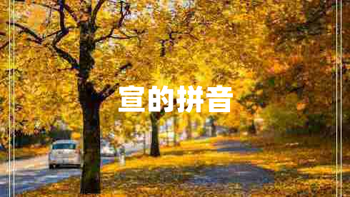 宣的拼音 宣的拼音