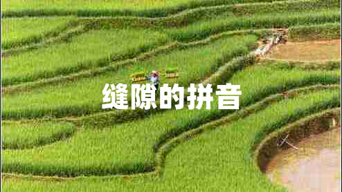 縫隙的拼音 縫隙的拼音