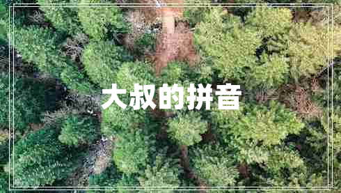 大叔的拼音 大叔的拼音