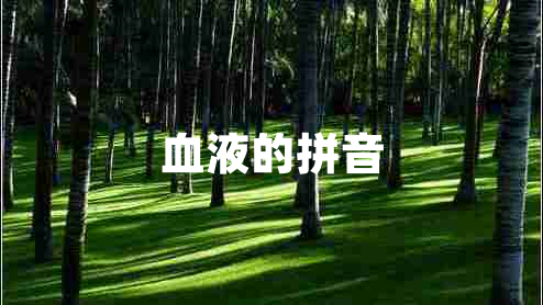 血液的拼音 血液的拼音