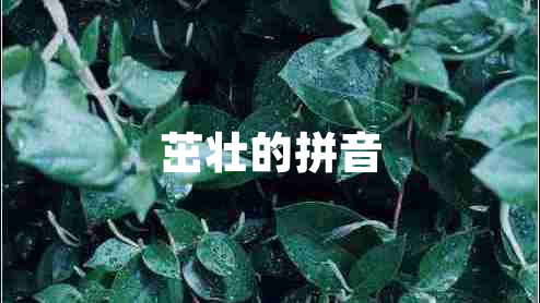 茁壯的拼音