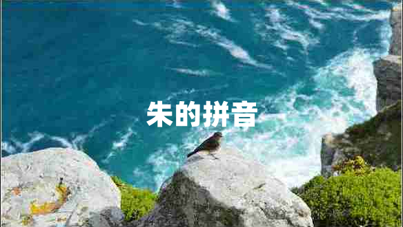 朱的拼音 朱的拼音